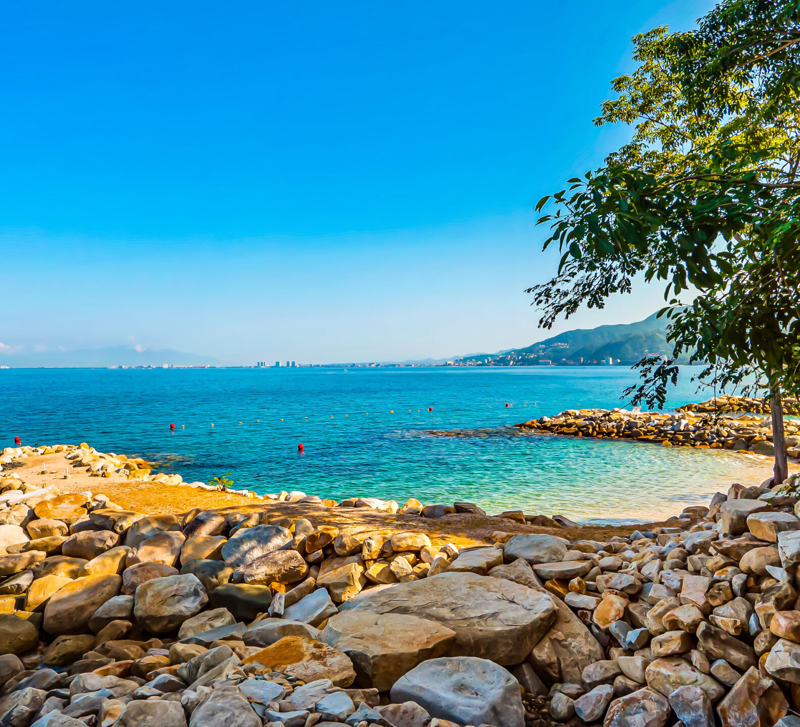 Rocky beach bordered by trees overlooking calm turquoise water.