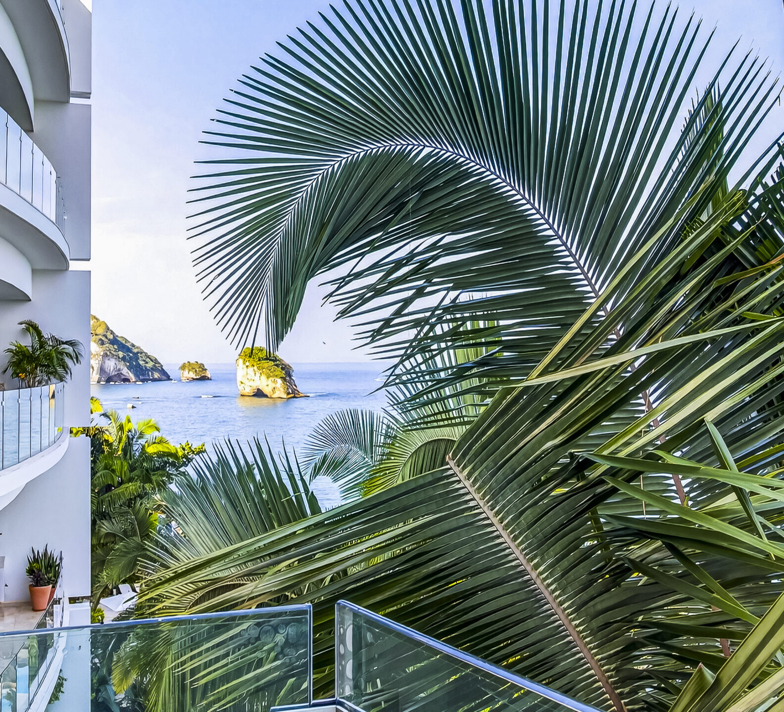 Palm fronds and tropical landscaping surrounding a balcony overlooking the ocean.