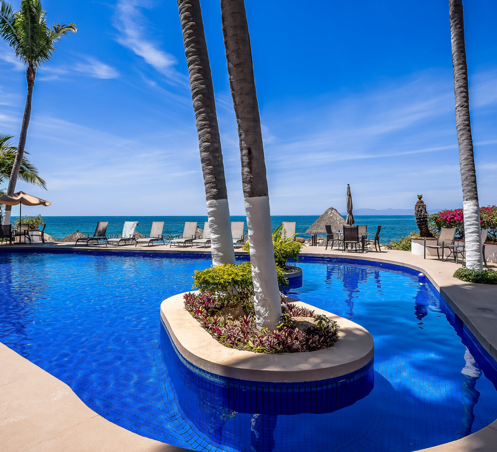 A bright blue, curved outdoor swimming pool surrounded by tall palm trees and lounge chairs under a clear blue sky.